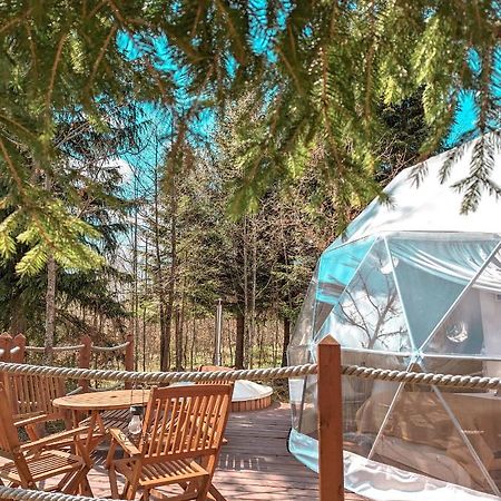 ホテル Medve Dome - Luxury Camping In The Middle Of Nature ヴラヒツァ エクステリア 写真