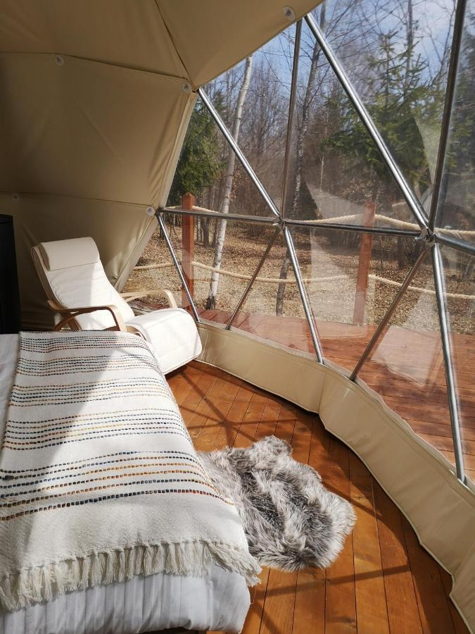 ホテル Medve Dome - Luxury Camping In The Middle Of Nature ヴラヒツァ エクステリア 写真