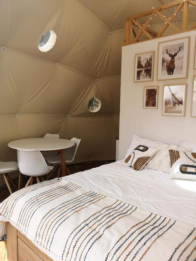 ホテル Medve Dome - Luxury Camping In The Middle Of Nature ヴラヒツァ エクステリア 写真