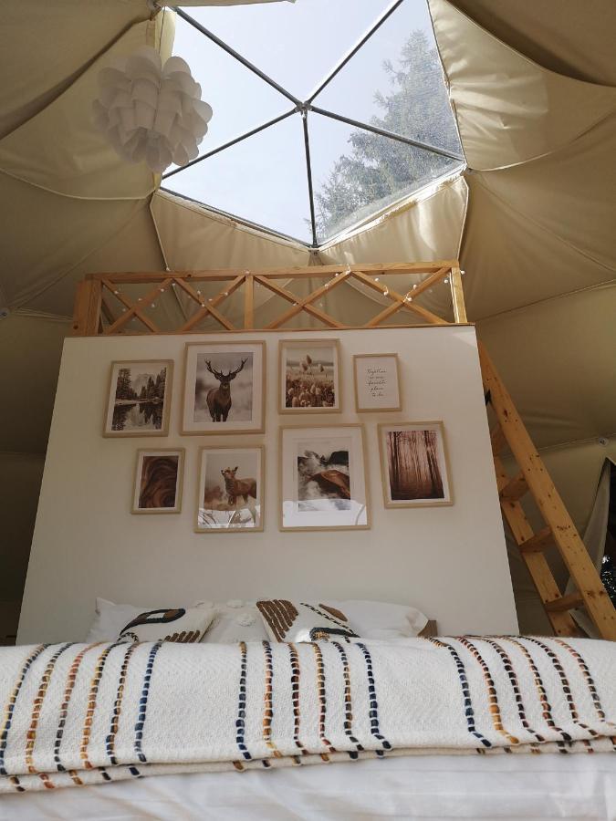 ホテル Medve Dome - Luxury Camping In The Middle Of Nature ヴラヒツァ エクステリア 写真