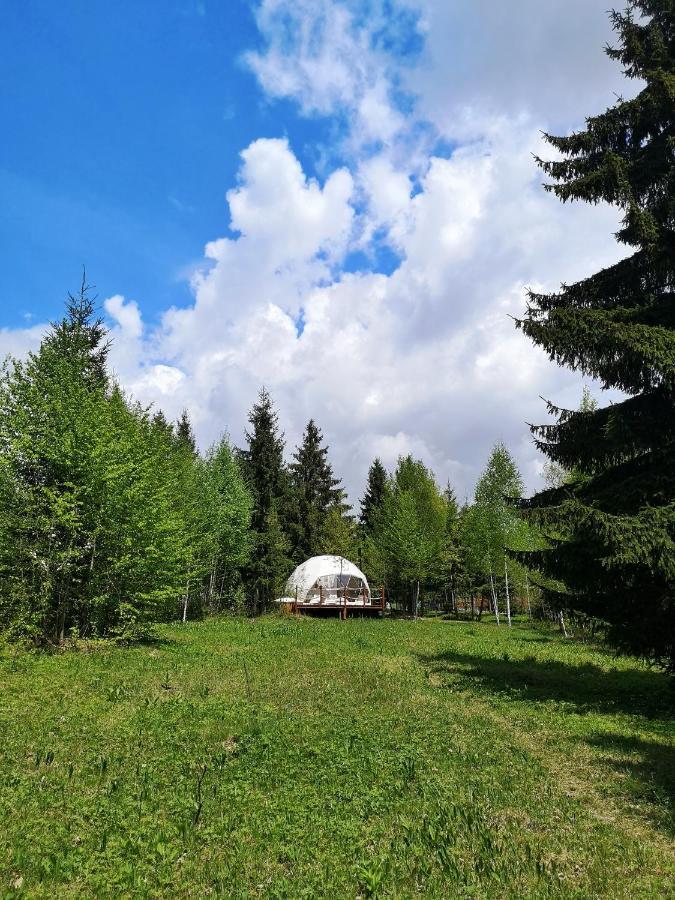 ホテル Medve Dome - Luxury Camping In The Middle Of Nature ヴラヒツァ エクステリア 写真