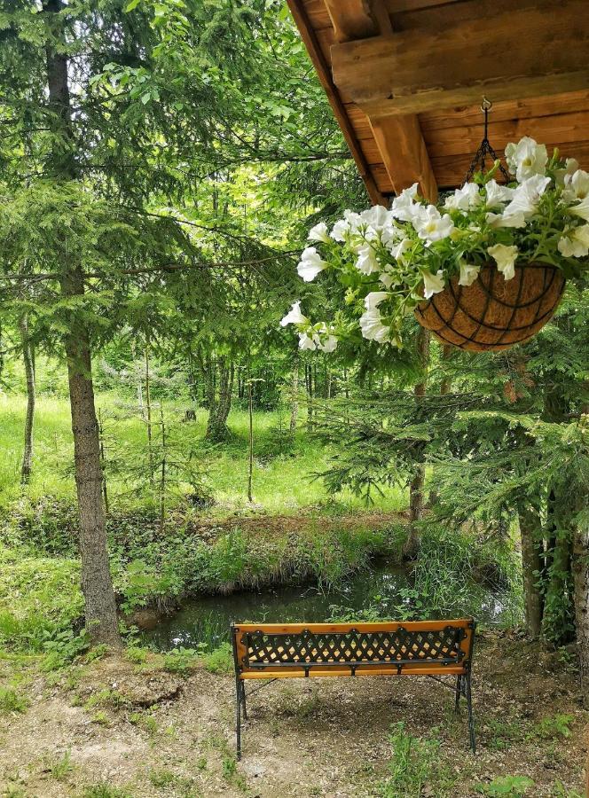 ホテル Medve Dome - Luxury Camping In The Middle Of Nature ヴラヒツァ エクステリア 写真