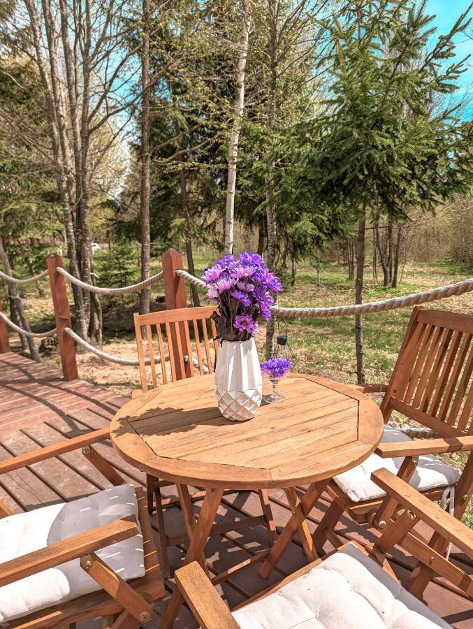 ホテル Medve Dome - Luxury Camping In The Middle Of Nature ヴラヒツァ エクステリア 写真