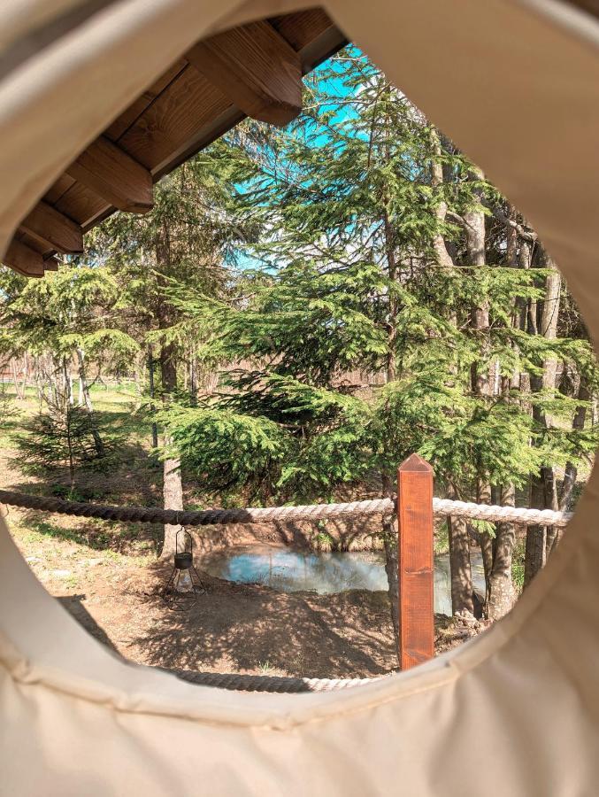 ホテル Medve Dome - Luxury Camping In The Middle Of Nature ヴラヒツァ エクステリア 写真